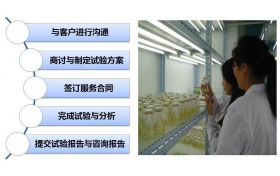 植物生物學(xué)領(lǐng)域項目合作研究